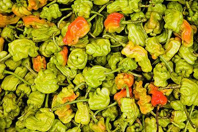 Steam新一周销量榜 《永劫无间》登顶